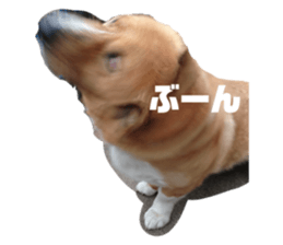 636637159