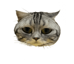 636637616