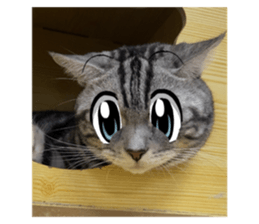 636637621
