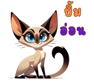 636644309