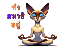 636644317