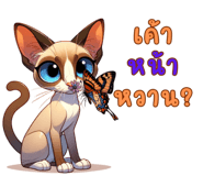 636644318
