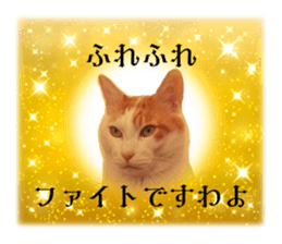 636649142