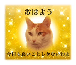 636649143