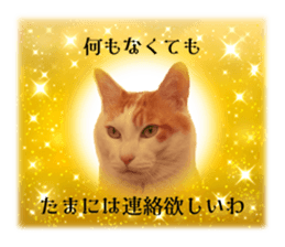 636649152