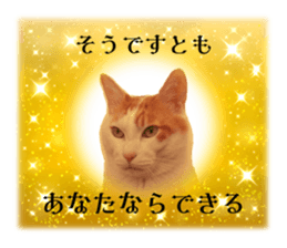 636649153