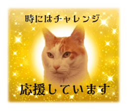 636649156