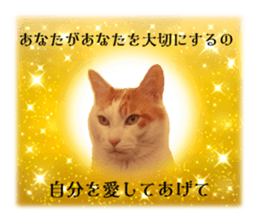 636649157