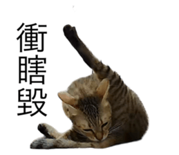 636658079