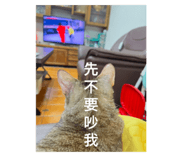 636658106