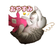 636673752