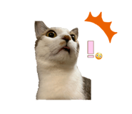 636673756