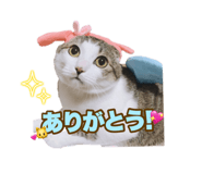 636673757