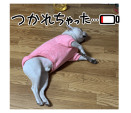 636689675