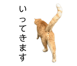 636691268