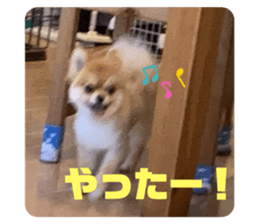 636700642