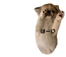 636782139