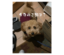 636785490