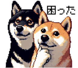 636811366