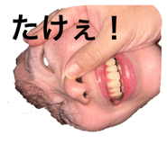 636812062
