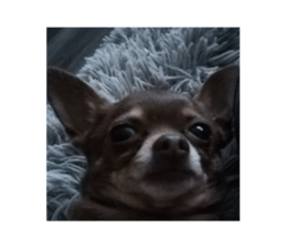 636817178