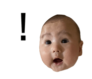 636869801