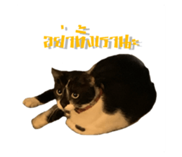 636871242