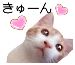 636889851