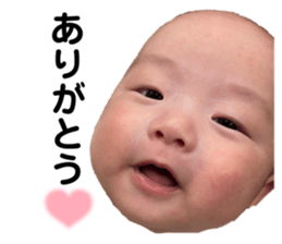 636935381
