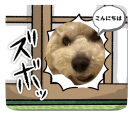 636960303