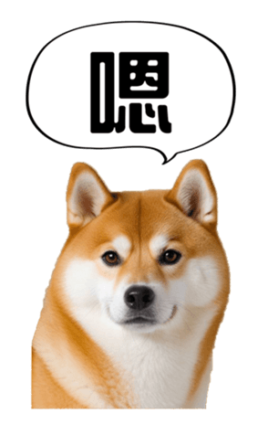 636961990