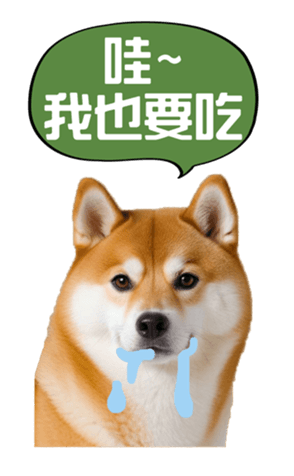636961994