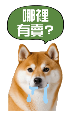 636961995