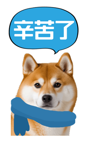 636962004