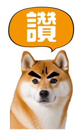 636962006