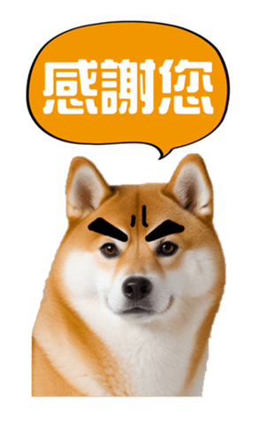636962007