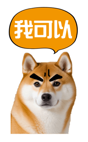 636962008