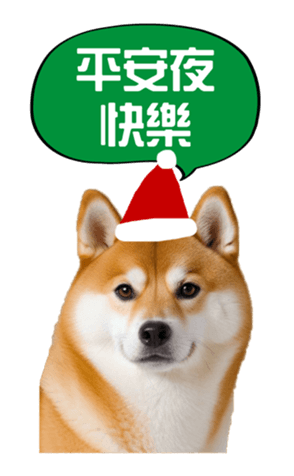 636962010