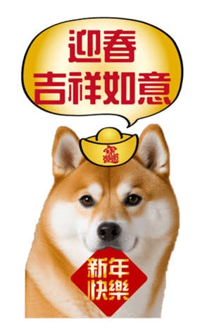 636962017