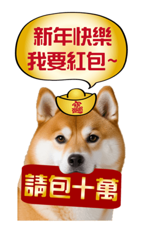 636962018