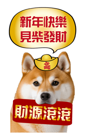 636962021