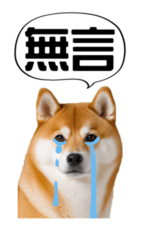 636962025