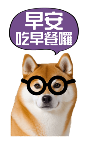 636962028