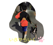 636964517