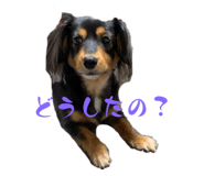 636965711