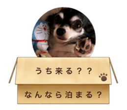 636997376