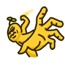 637002964