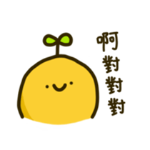 637002974