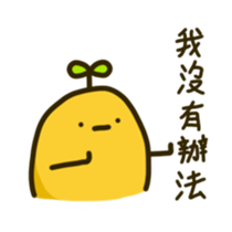 637002976