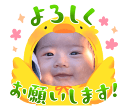 637007231